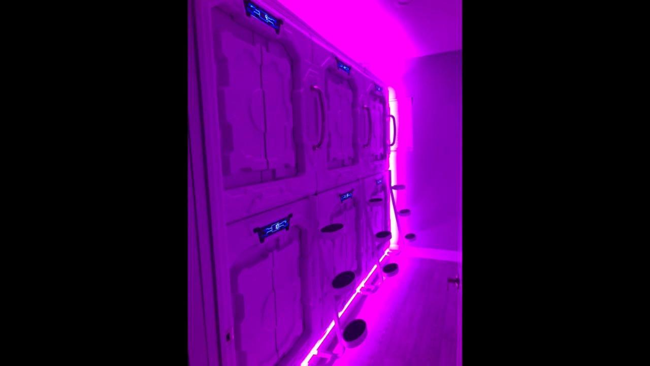 La Podlife Otel Los Angeles Dış mekan fotoğraf